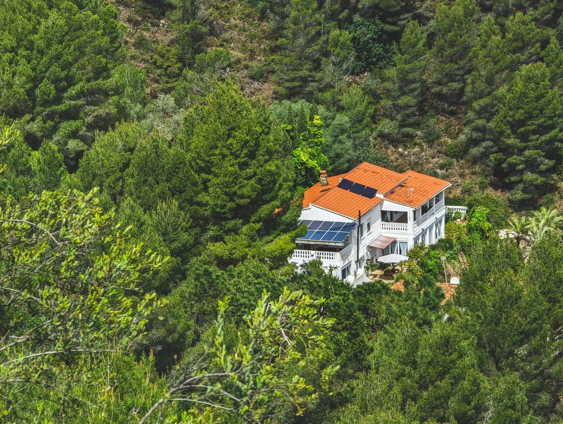 Summit view